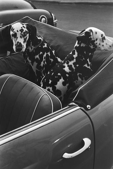 Astonish me! Astonish me!