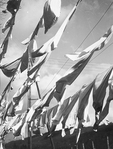 Astonish me! Astonish me!