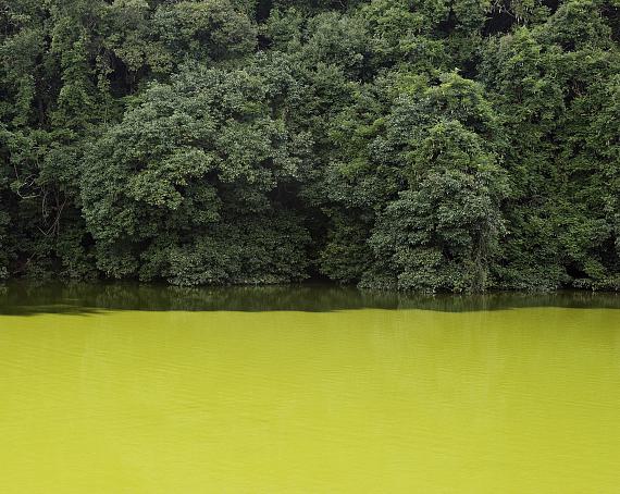 Franck Christen
#44351. Sagano. Japan, 2010
© Franck Christen