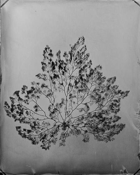 Paris Photo 2025 - Group show