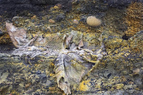 TAKE A CLOSE(R) LOOK – NORTHERN UK COASTLINES TAKE A CLOSE(R) LOOK – NORTHERN UK COASTLINES