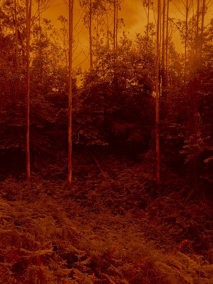 Sein und Werden Sein und Werden