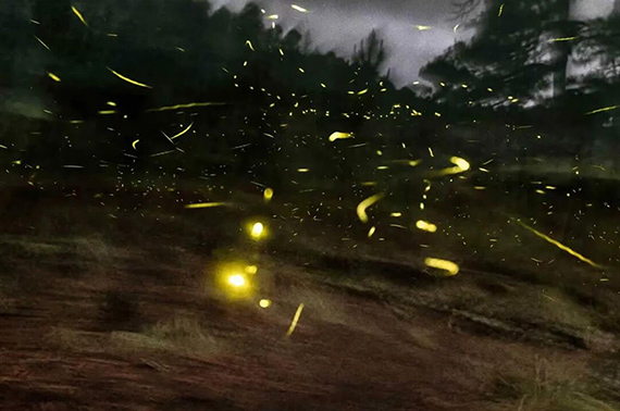 15th Shanghai Biennale