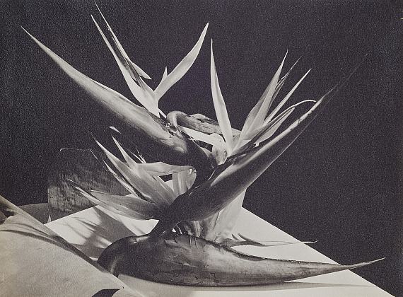 Photography | The Margulies Collection