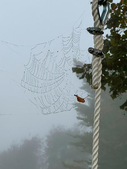 Mitgliederausstellung: Wasser