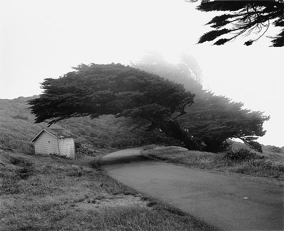 Fotografie – Das Werk Christa Mayer