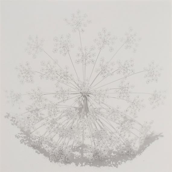 Jasmund I Der Sonne Mond Jasmund I Der Sonne Mond