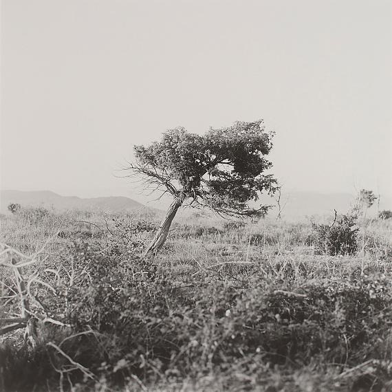 Jasmund I Der Sonne Mond Jasmund I Der Sonne Mond