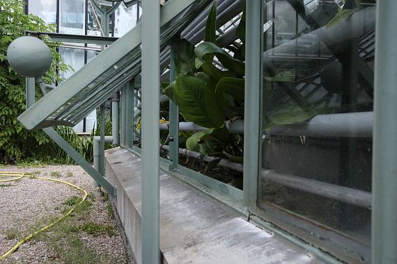 Laura J. PadgettImperial and empirical studies in botany, 2026 Archival Pigment Print on Hahnemühle Agave 290g67 x 96 cmEdition 3 + 2 AP