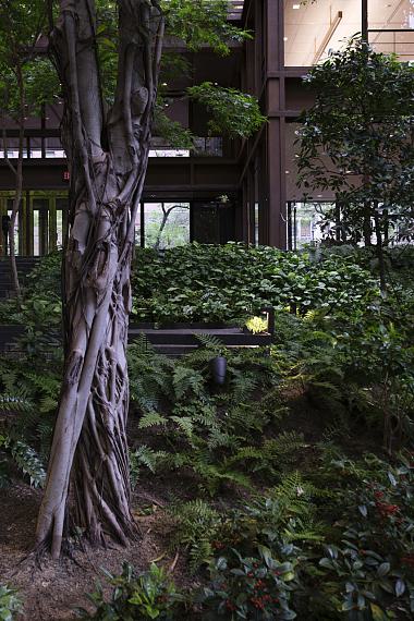 Laura J. PadgettRefining Judgement, 2026 Archival Pigment Print on Hahnemühle Agave 290g67 x 96 cmEdition 3 + 2 AP