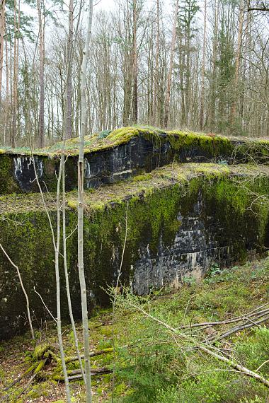 Laura J. PadgettThe inner need to nurture and protect, 2026 Archival Pigment Print on Hahnemühle Agave 290g67 x 96 cmEdition 3 + 2 AP