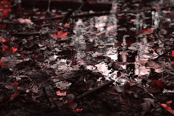 Susanne WehrAblagerung, 2025Fine Art Print Hahnemühle Baryta auf Aludibond gerahmt50 x 75 cm