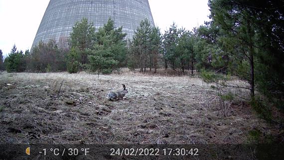 Tschernobyl Tschernobyl