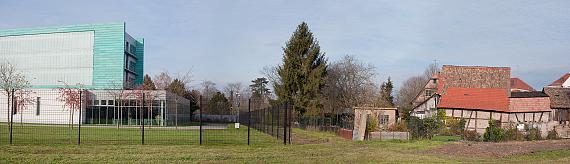 Contrast and Indifference Contrast and Indifference