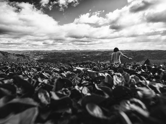 Claude Hofer: Seiji Tanaka