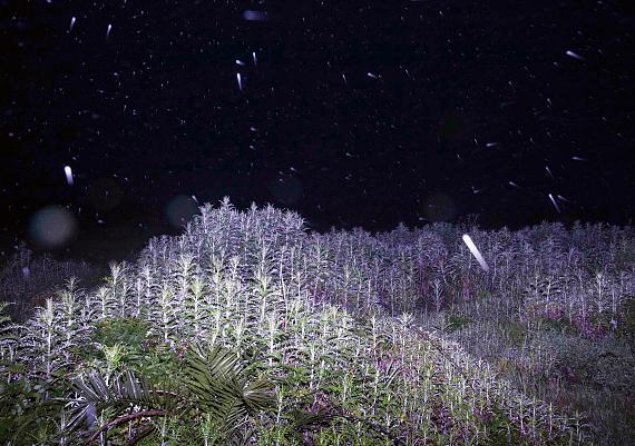 Moritz HaaseSitting On A Cornflake (Crop 1), 2017/2025C-Print© Moritz Haase