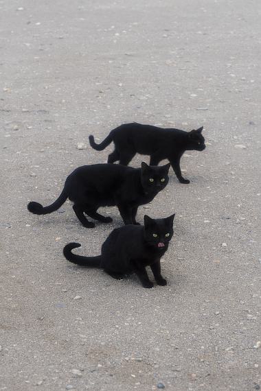 Lena BilsI want to believe, 2024© Lena Bils