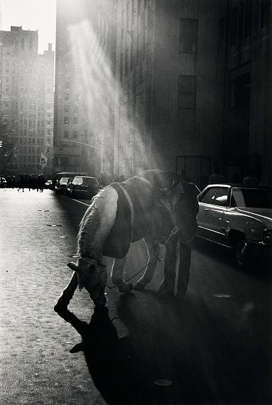 Louis Stettner: Rodeo-Cowboy, Rockefeller Center 1972