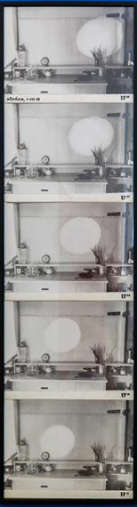 Zdzisław Jurkiewicz