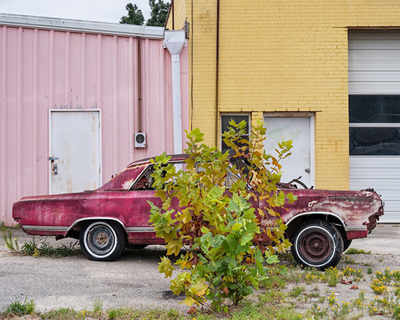 Anastasia SamoylovaOld Car, Rocky Mount, North Carolina 2024Archival Pigment Print, mounted, framed100 x 125 cm, edition of 3 + 3 AP