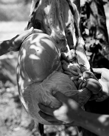 Paris Photo 2024 - Group show 