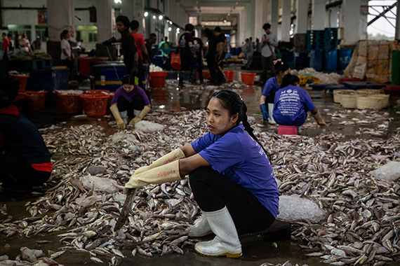 Overfishing In South East Asia, An Ecological And Human Crisis