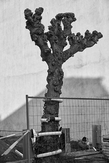 Living Environments / Lebensräume