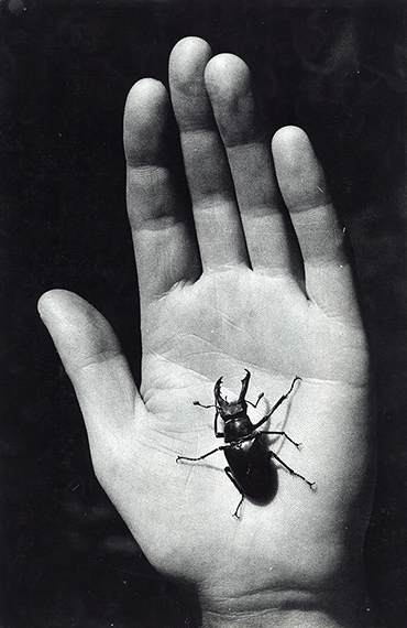 MIA Photo Fair BNP Paribas 2026