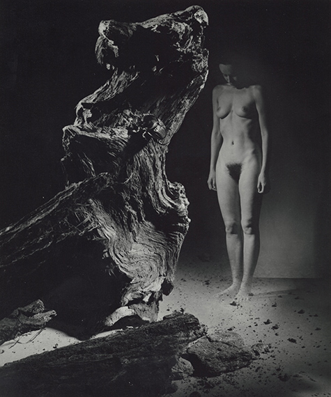 MIA Photo Fair BNP Paribas 2026