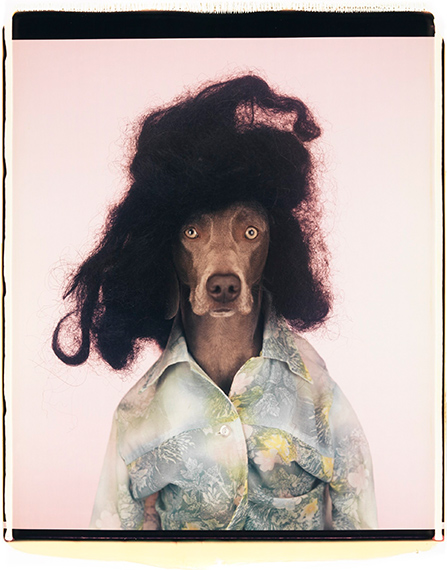 MIA Photo Fair BNP Paribas 2026