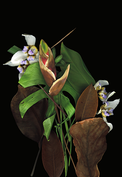 MIA Photo Fair BNP Paribas 2026