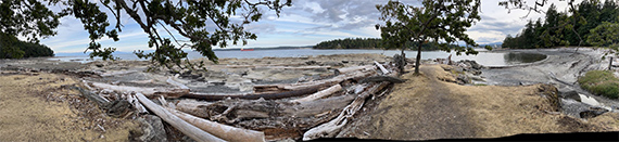 Sylvia Grace Borda (Canada), Coastal Debris, 2026. Photography and text printed on vinyl, 70 x 50 cm. 