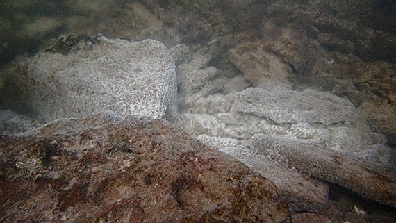 Anca Benera & Arnold Estefán, Living Archive, film still &copy; by the artists