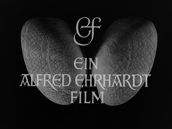 Films Like Never Before / Filme wie noch nie Films Like Never Before / Filme wie noch nie