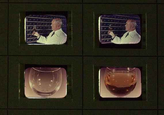 Films Like Never Before / Filme wie noch nie Films Like Never Before / Filme wie noch nie