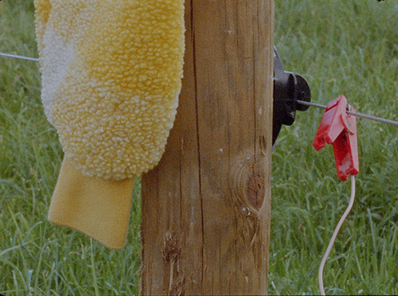 Scannán Glas Scannán Glas