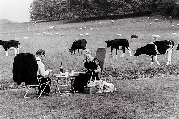 Festival La Gacilly-Baden Photo 2026