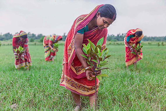 Festival La Gacilly-Baden Photo 2026
