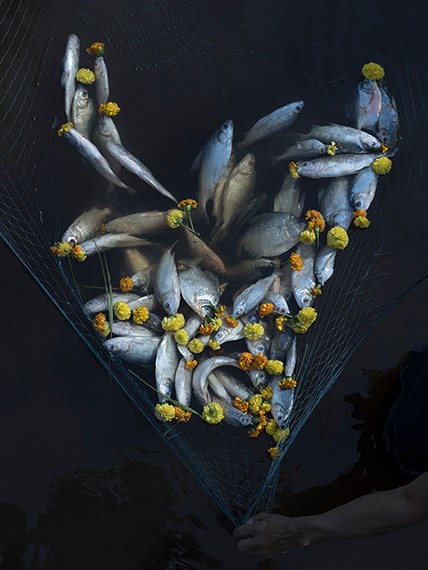 PHotoEspaña 2026 PHotoEspaña 2026