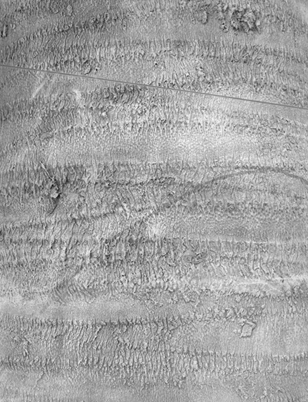 L’albergo della lontananza (The Hotel of Distance)