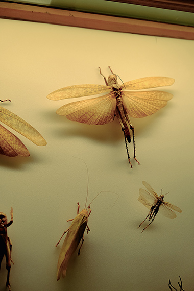 Giovane Fotografia Italiana #13 | Luigi Ghirri Award 2026