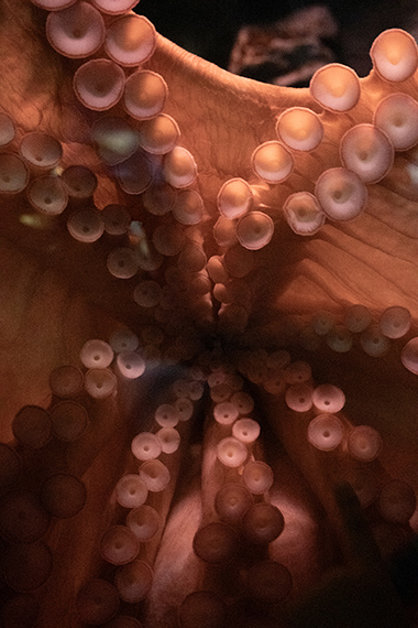 Giovane Fotografia Italiana #13 | Luigi Ghirri Award 2026