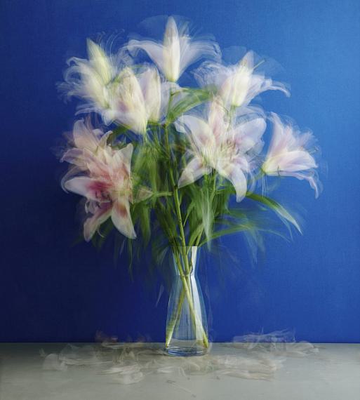 Kleiner Mann, was nun?