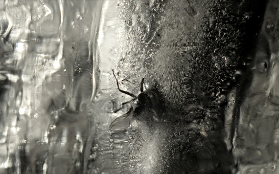 Maya Watanabe, Jarkov (still), 2026. Single-channel video, colour, stereo sound, 24’. Commissioned and produced by Fondazione In Between Art Film, co-produced by Mori Art Museum, Tokyo, with additional support from Mondriaan Fund, for the exhibition Canicula, 2026. Courtesy of the artist; Fondazione In Between Art Film; Livia Benavides Galería, Lima; tegenboschvanvreden, Amsterdam.