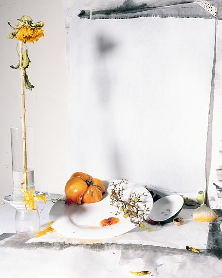 Laura LetinskyWho Loves the Sun 4422 x 30 cm&copy; Laura Letinsky