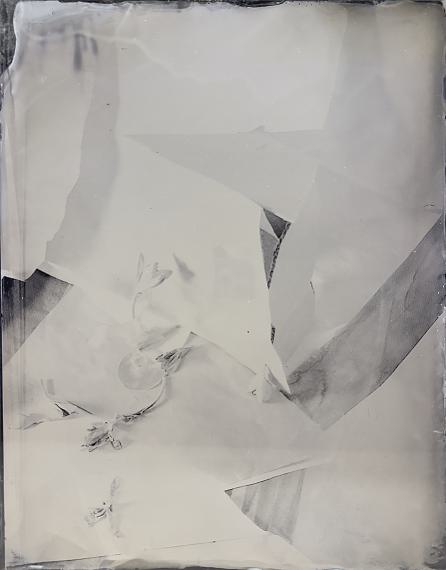 Laura LetinskyThat What Can’t Be 09, 202436 x 28 cm&copy; Laura Letinsky
