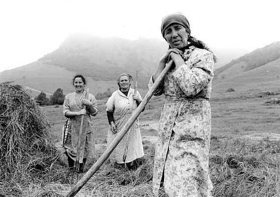 PHOTOGRAPHY, ACTIVISM, CAMPAIGN WORKS
