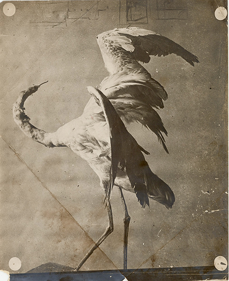 José María Sert (1874 – 1945)
Étude pour la Cathédrale de Vich,
after 1918
Vintage gelatin silver print
29.6 x 23.9 cm José María Sert (1874 – 1945)
Étude pour la Cathédrale de Vich,
after 1918
Vintage gelatin silver print
29.6 x 23.9 cm