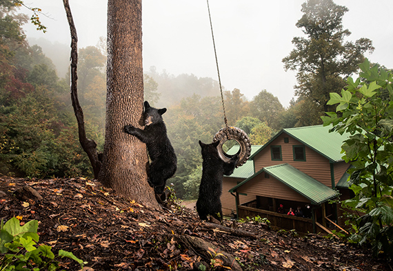 &copy; Corey Arnold
