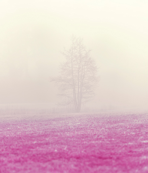 Zak van BiljonTree and Mist Zurich2023Courtesy Galerie 94, Baden